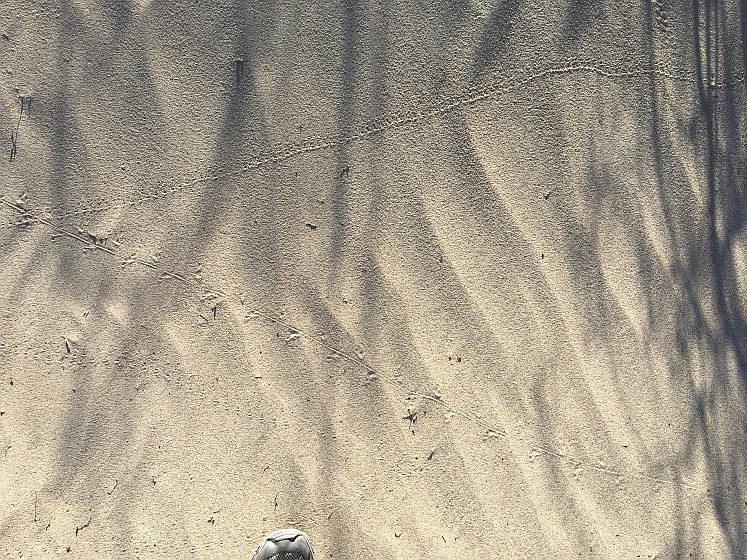 Death Valley NP